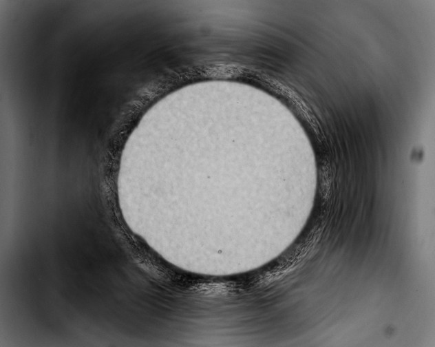 X0000103320307200810171407