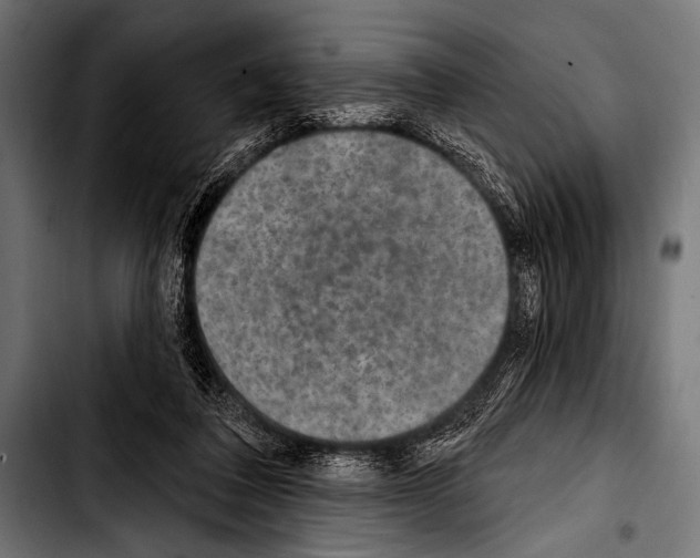 X0000103320308200810171407