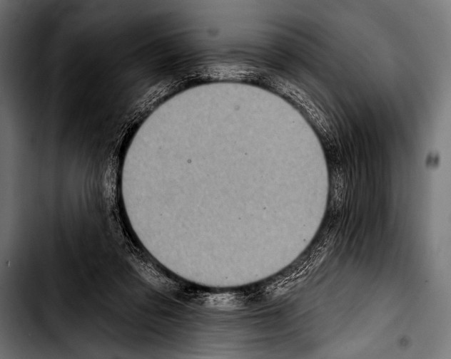 X0000103320309200810171407