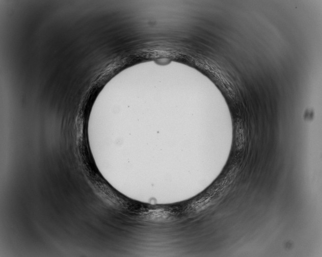 X0000103320310200810171407