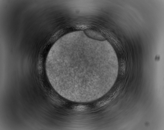 X0000103320312200810171407