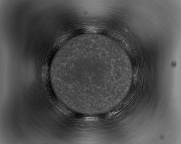 X0000103320314200810171407