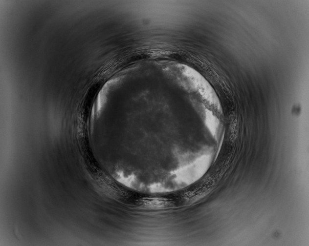 X0000103320316200810171407