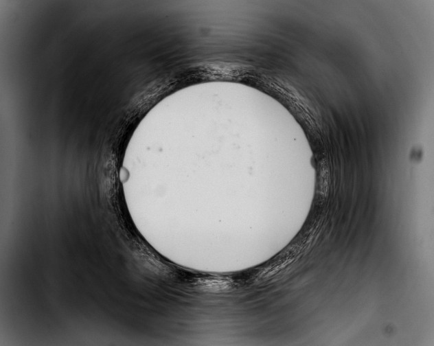 X0000103320318200810171407