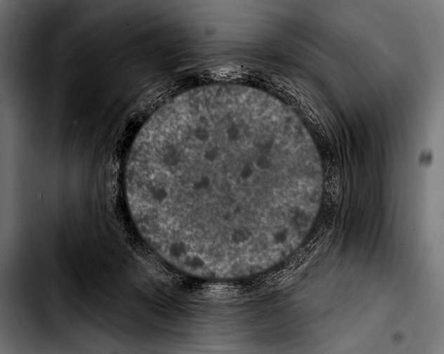 X0000103320319200810171407
