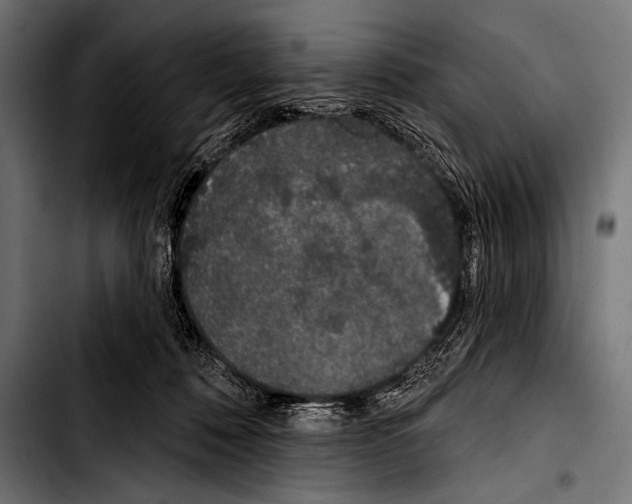 X0000103320320200810171407
