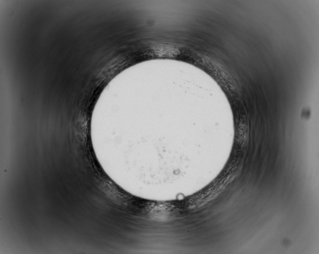 X0000103320321200810171407
