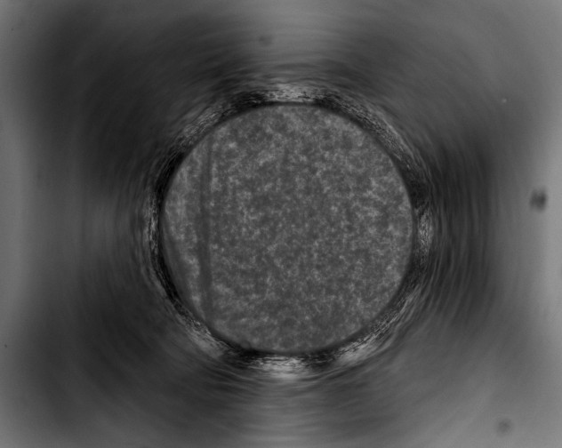 X0000103320322200810171407