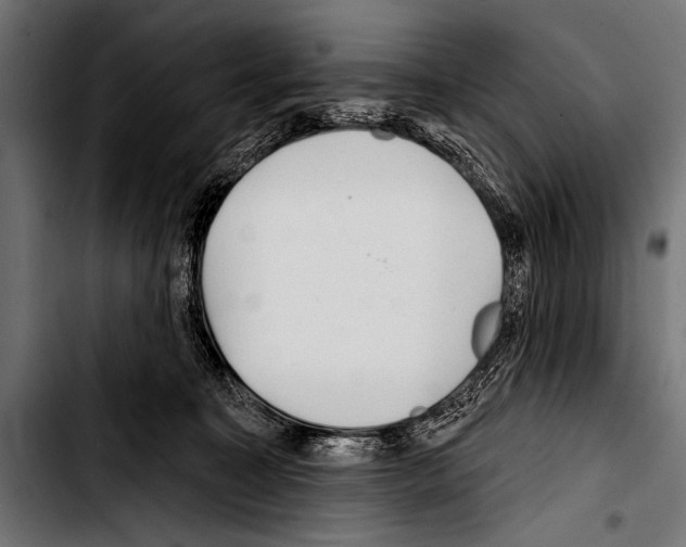 X0000103320323200810171407