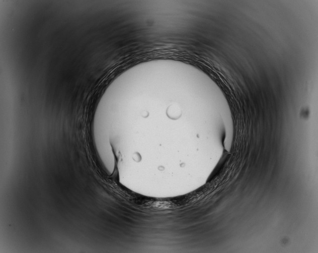 X0000103320324200810171407