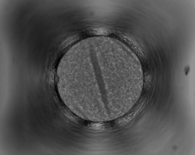 X0000103320325200810171407