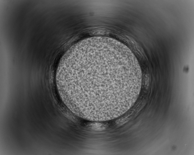 X0000103320326200810171407