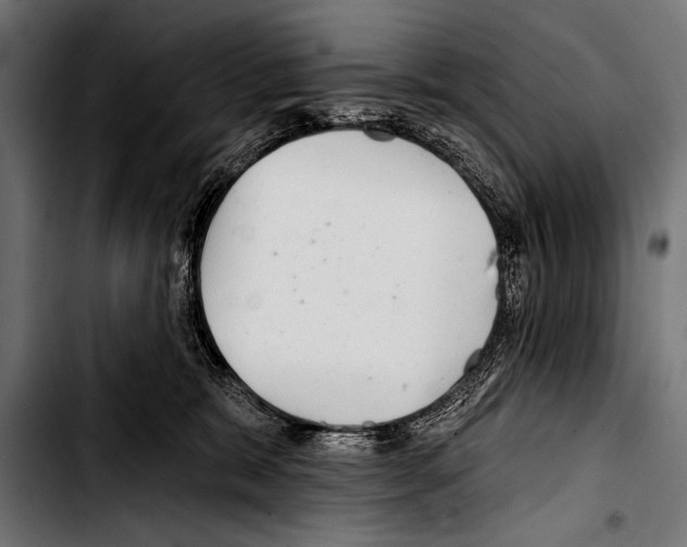 X0000103320327200810171407