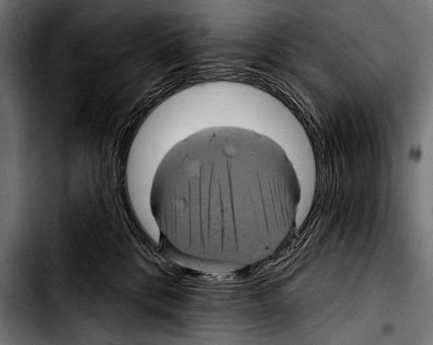 X0000103320328200810171407
