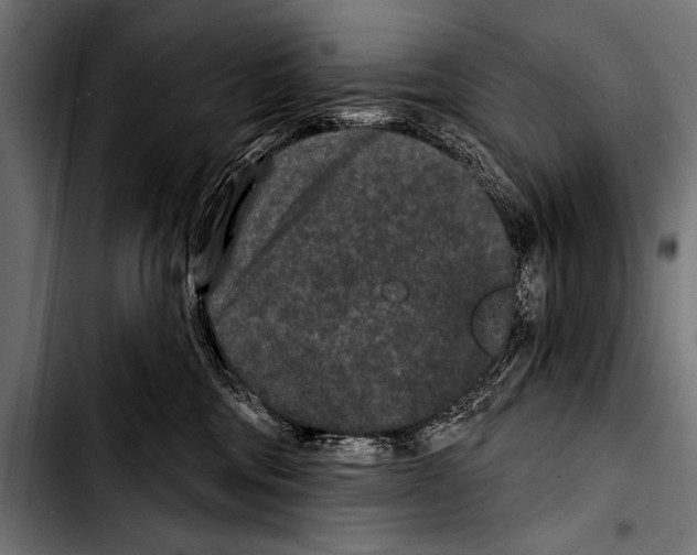 X0000103320330200810171407