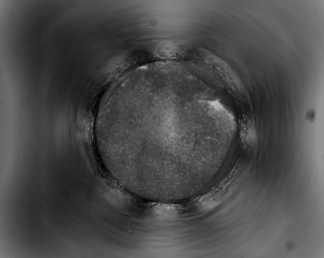 X0000103320332200810171407