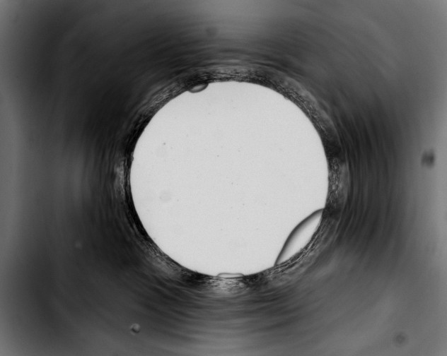 X0000103320333200810171407