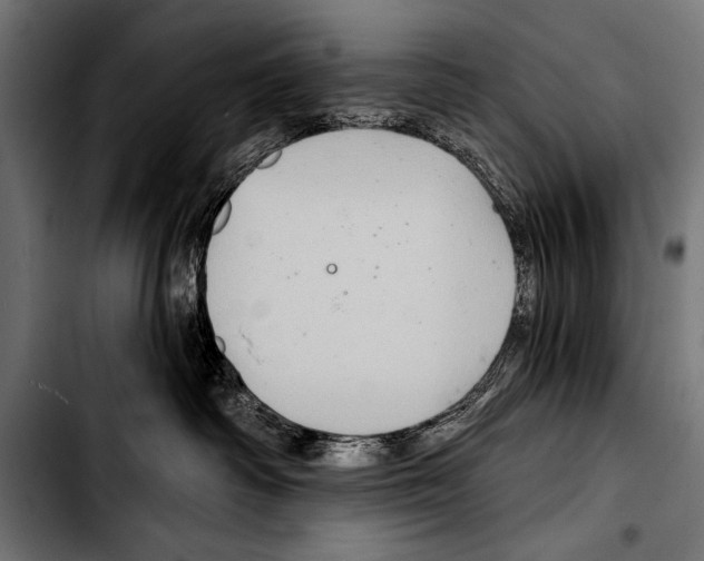X0000103320334200810171407