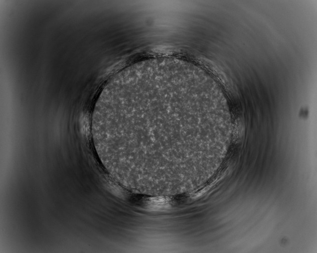 X0000103320335200810171407