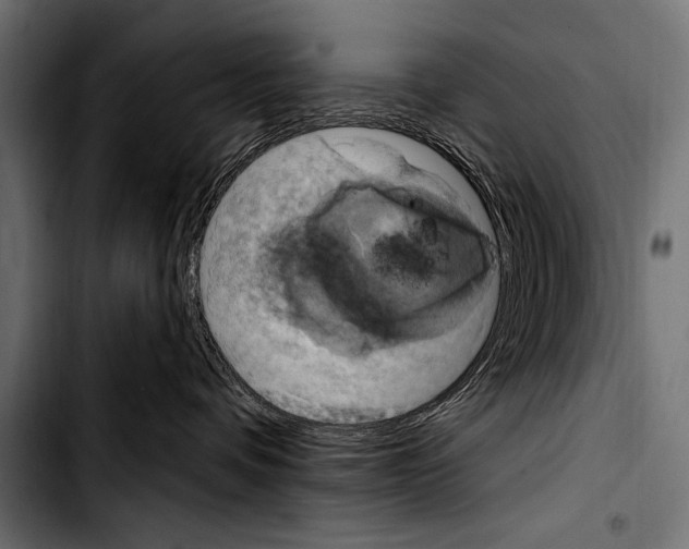 X0000103320336200810171407