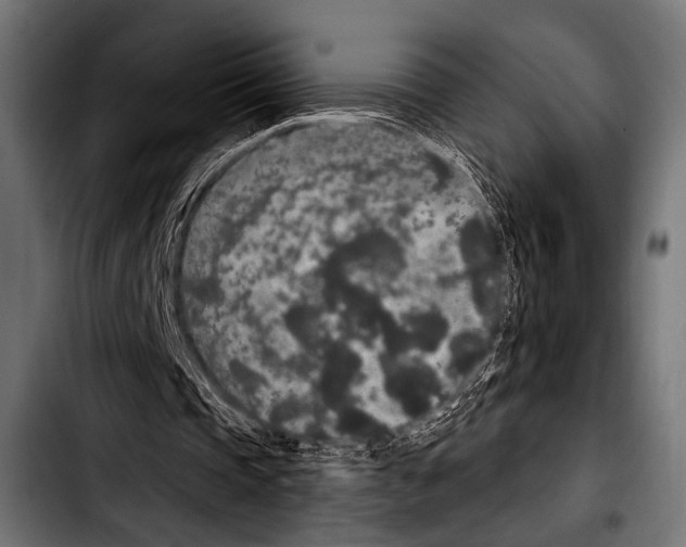 X0000103320337200810171406