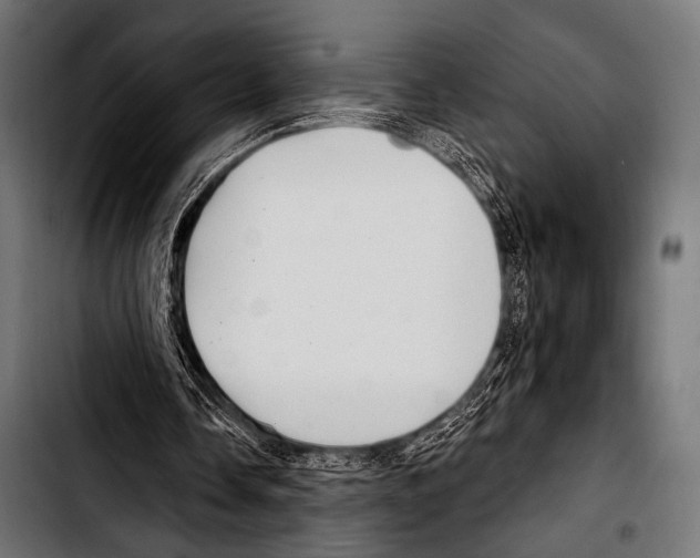 X0000103320338200810171406