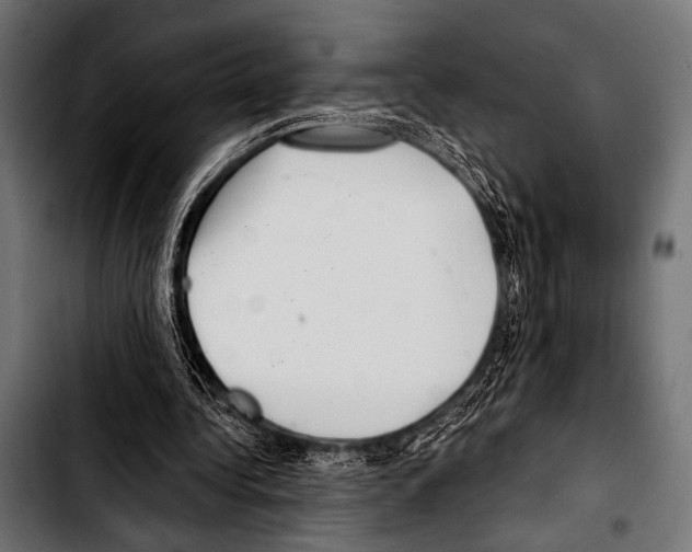 X0000103320340200810171406