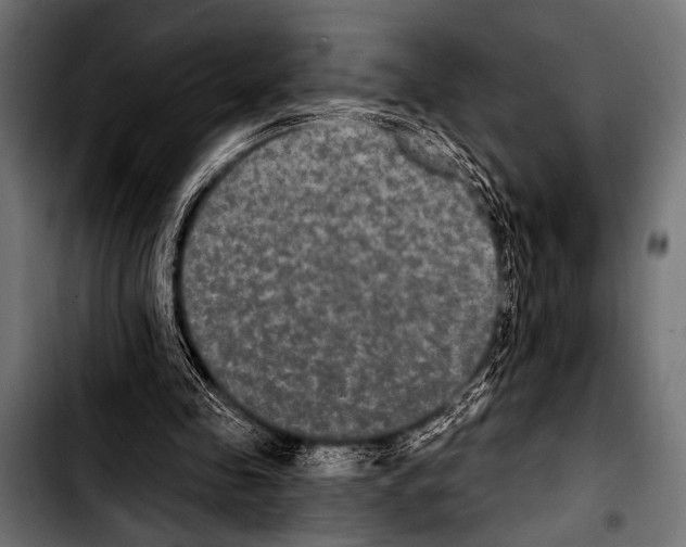 X0000103320341200810171406
