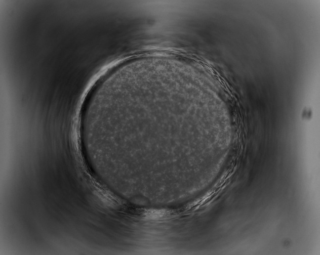 X0000103320342200810171406