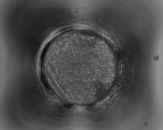 X0000103320343200810171406