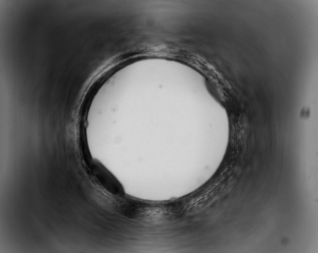 X0000103320344200810171407