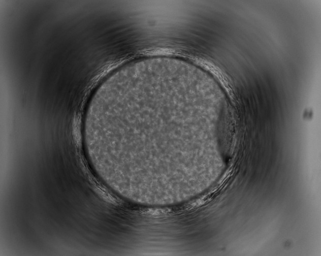 X0000103320345200810171407
