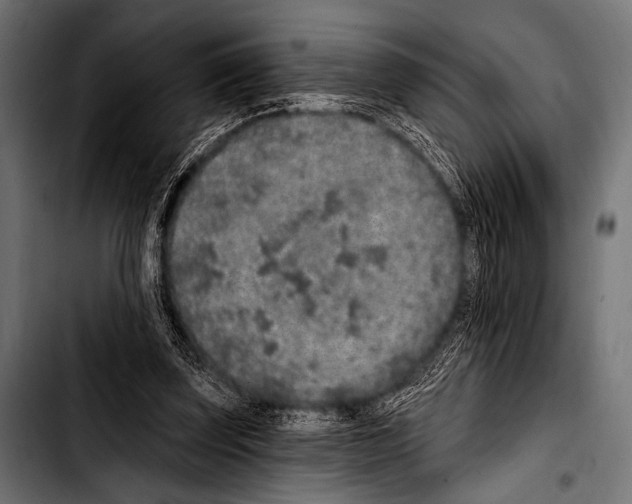 X0000103320347200810171407