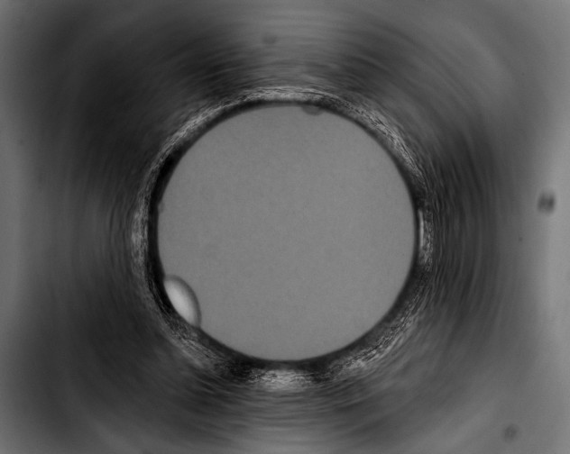 X0000103320348200810171407