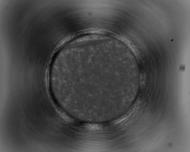 X0000103320349200810171407