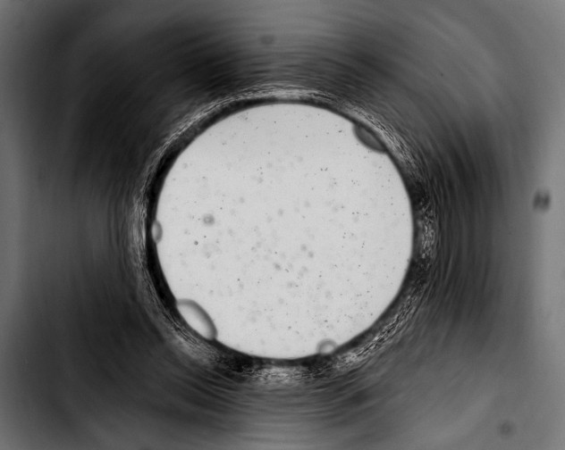 X0000103320350200810171407