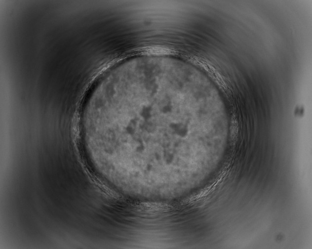 X0000103320351200810171407