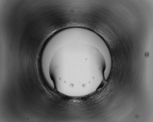 X0000103320352200810171407