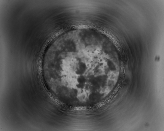 X0000103320353200810171407