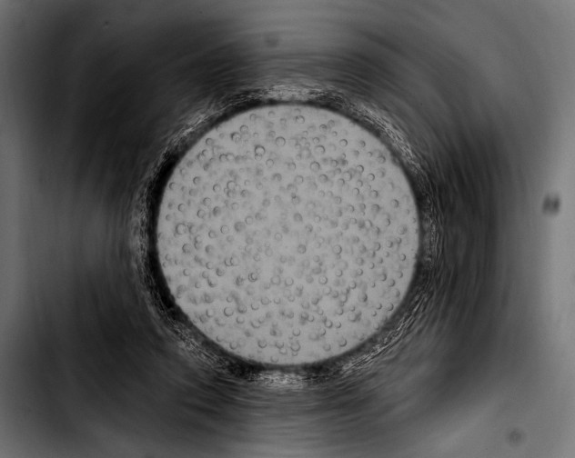 X0000103320354200810171407