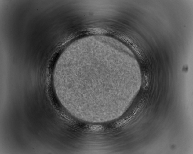 X0000103320355200810171407
