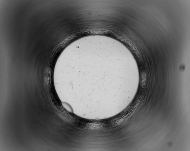 X0000103320356200810171407