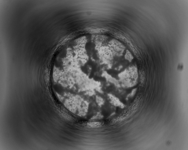 X0000103320357200810171407