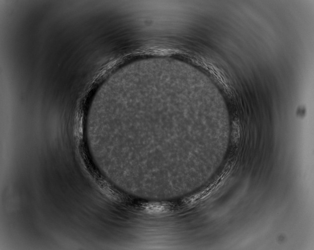 X0000103320358200810171407