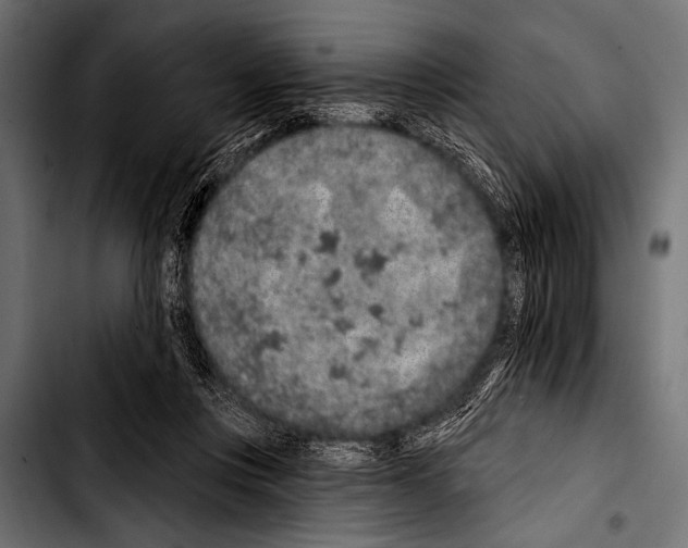 X0000103320359200810171407