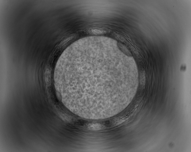 X0000103320360200810171407