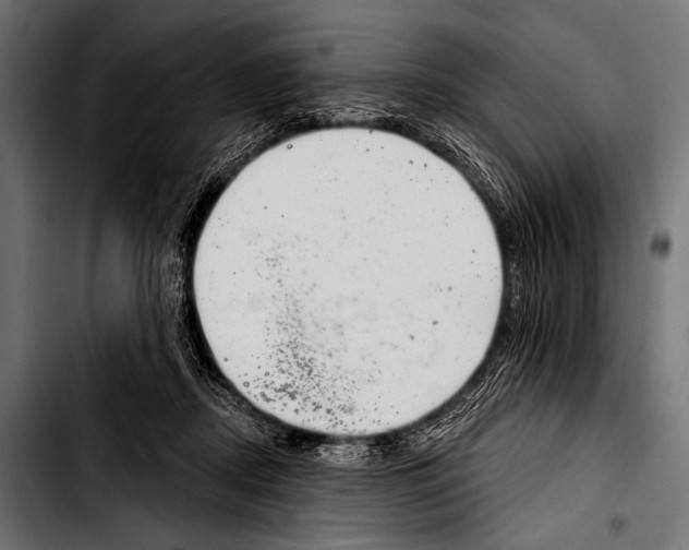 X0000103320362200810171407