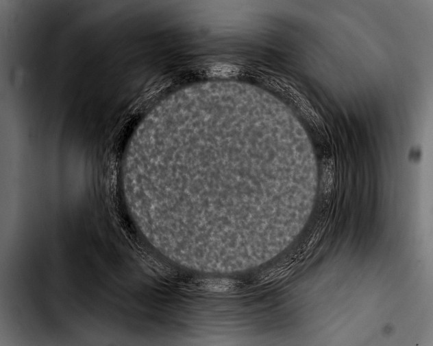 X0000103320363200810171407