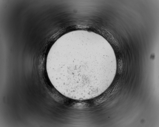X0000103320364200810171407