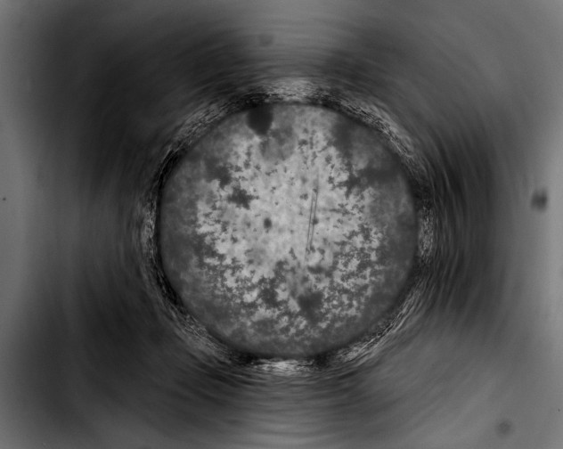X0000103320365200810171407